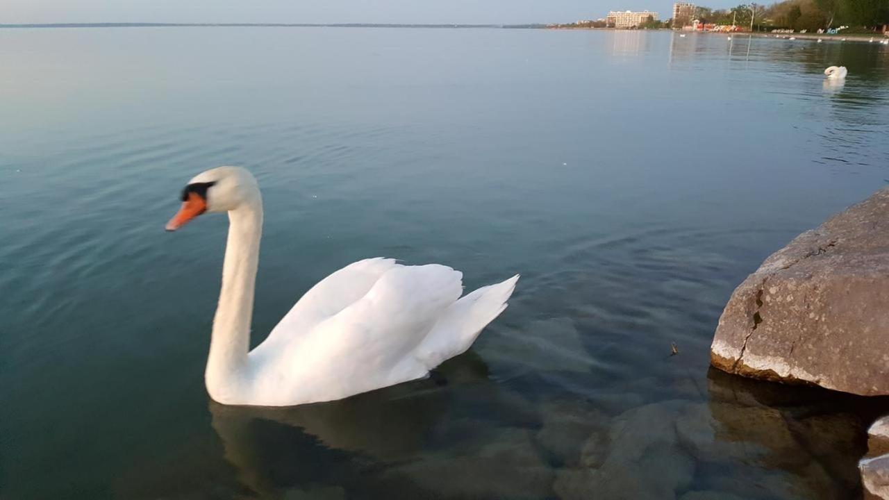 Ilona Apartmanház Siófok Exteriér fotografie